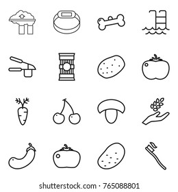 Thin line icon set : factory filter, smart bracelet, bone, pool, garlic clasp, pasta, potato, tomato, carrot, cherry, mushroom, harvest, eggplant, tooth brush