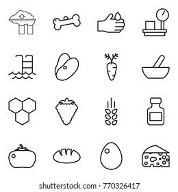 Thin line icon set : factory filter, bone, acid, warehouse scales, pool, beans, carrot, mortar, honeycombs, berry, spikelets, pills bottle, tomato, bread, egg, cheese