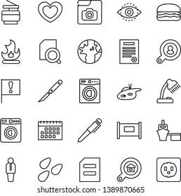 Thin Line Icon Set - fence vector, washer, manager, document, fire, seeds, heart, scalpel, earth, important flag, sea port, eye id, photo gallery, calendar, search, desk lamp, copier, contract, pen