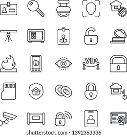 Thin Line Icon Set - fence vector, identity, safe, card, hose, flammable, chain, sd, lock, face id, eye, stamp, key, estate insurance, vip zone, home control, wireless, app, surveillance, sprinkler