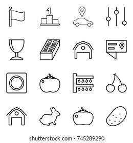 thin line icon set : flag, pedestal, car pointer, equalizer, wineglass, brick, barn, location details, ring button, tomato, watering, cherry, rabbit, potato