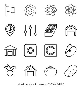 thin line icon set : flag, around gear, atom, dollar pin, equalizer, brick, barn, warehouse, ring button, beans, beet, tomato, potato