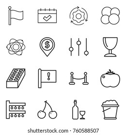 Thin line icon set : flag, calendar, around gear, atom core, dollar pin, equalizer, wineglass, brick, important, vip fence, tomato, watering, cherry, wine, foam bucket
