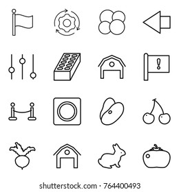 Thin line icon set : flag, around gear, atom core, left arrow, equalizer, brick, barn, important, vip fence, ring button, beans, cherry, beet, rabbit, tomato