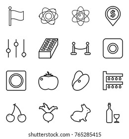 Thin line icon set : flag, atom, dollar pin, equalizer, brick, vip fence, ring button, tomato, beans, watering, cherry, beet, rabbit, wine