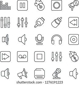 Thin Line Icon Set - flame disk vector, microphone, speaker, loudspeaker, settings, equalizer, headphones, pause button, stop, fast forward, rewind, rec, rca, hdmi, tuning, record, sound