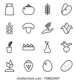 Thin line icon set : flour, tomato, spikelets, beans, mushroom, harvest, corn, seedling, pear, beet, sprouting, strawberry, egg, potato