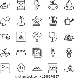Thin Line Icon Set - flower in pot vector, watering can, wheelbarrow, sproute, seedling, water drop, well, plant label, pond, fertilizer, tulip, gallery, photo, fruit tree, mountains, irrigation