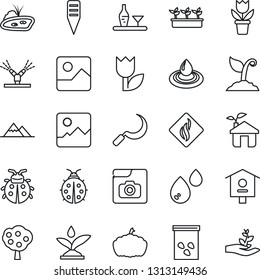 Thin Line Icon Set - flower in pot vector, sproute, lady bug, seedling, sickle, plant label, pumpkin, seeds, bird house, tulip, gallery, photo, pond, fruit tree, mountains, alcohol, eco, irrigation