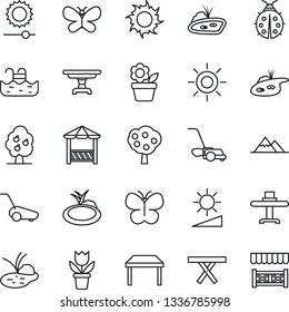 Thin Line Icon Set - flower in pot vector, lawn mower, butterfly, lady bug, sun, pond, picnic table, brightness, pool, fruit tree, mountains, restaurant, alcove