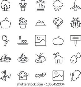 Thin Line Icon Set - flower in pot vector, tree, lady bug, rain, well, plant label, pumpkin, caterpillar, pond, tulip, gallery, windmill, fruit, mountains, alcohol, eco house, water, smoke detector