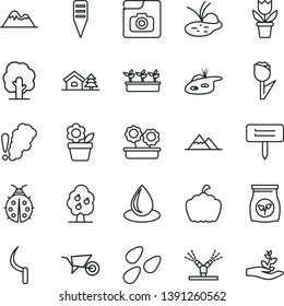 Thin Line Icon Set - flower in pot vector, tree, wheelbarrow, lady bug, seedling, water drop, sickle, plant label, pumpkin, seeds, pond, fertilizer, tulip, photo gallery, house with, fruit