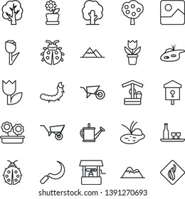 Thin Line Icon Set - flower in pot vector, tree, watering can, wheelbarrow, lady bug, well, sickle, caterpillar, pond, bird house, tulip, gallery, fruit, mountains, alcohol, smoke detector