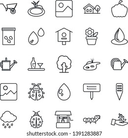 Thin Line Icon Set - flower in pot vector, tree, watering can, wheelbarrow, lady bug, water drop, rain, well, plant label, pumpkin, seeds, caterpillar, pond, bird house, gallery, with, alcohol