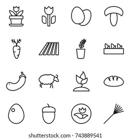 thin line icon set : flower, perishable, eggs, mushroom, carrot, field, seedling, eggplant, sheep, sprouting, bread, egg, acorn, ecology, rake
