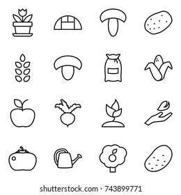 thin line icon set : flower, greenhouse, mushroom, potato, spikelets, flour, corn, apple, beet, sprouting, hand leaf, tomato, watering can, garden