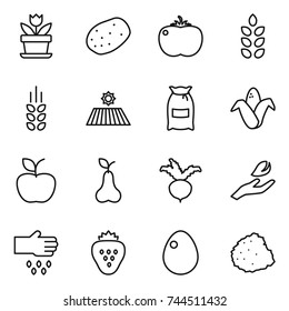 thin line icon set : flower, potato, tomato, spikelets, field, flour, corn, apple, pear, beet, hand leaf, sow, strawberry, egg, pile of garbage