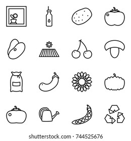 thin line icon set : flower in window, vegetable oil, potato, tomato, beans, field, cherry, mushroom, flour, eggplant, pumpkin, watering can, peas, recycling