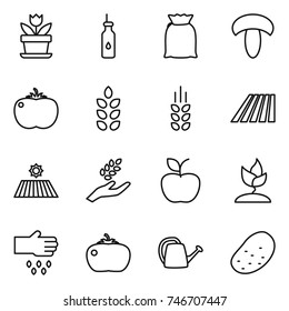 thin line icon set : flower, vegetable oil, flour, mushroom, tomato, spikelets, field, harvest, apple, sprouting, sow, watering can, potato