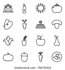 thin line icon set : flower bed, vegetable oil, gas oven, tomato, beans, carrot, field, mushroom, corn, seedling, apple, pear, pumpkin, acorn, ecology