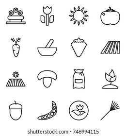 thin line icon set : flower bed, perishable, gas oven, tomato, carrot, mortar, berry, field, mushroom, flour, sprouting, acorn, peas, ecology, rake