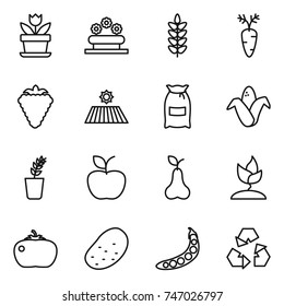 thin line icon set : flower, bed, spikelets, carrot, berry, field, flour, corn, seedling, apple, pear, sprouting, tomato, potato, peas, recycling
