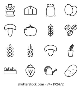 thin line icon set : flower, greenhouse, flour, eggs, mushroom, tomato, spikelets, coffee seeds, seedling, strawberry, watering can, potato