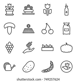 thin line icon set : flower, bed, perishable, vegetable oil, mushroom, field, cherry, flour, grape, harvest, seedling, pumpkin, watering can, potato, peas, ecology