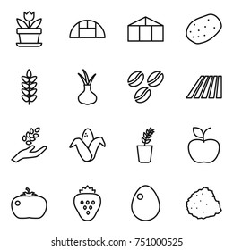 thin line icon set : flower, greenhouse, potato, spikelets, onion, coffee seeds, field, harvest, corn, seedling, apple, tomato, strawberry, egg, pile of garbage