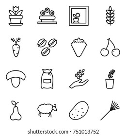 thin line icon set : flower, bed, in window, spikelets, carrot, coffee seeds, berry, cherry, mushroom, flour, harvest, seedling, pear, sheep, potato, rake
