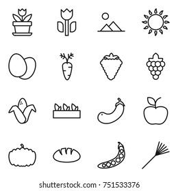 thin line icon set : flower, perishable, landscape, gas oven, eggs, carrot, berry, grape, corn, seedling, eggplant, apple, pumpkin, bread, peas, rake