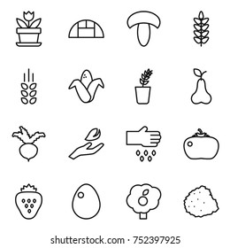 thin line icon set : flower, greenhouse, mushroom, spikelets, corn, seedling, pear, beet, hand leaf, sow, tomato, strawberry, egg, garden, pile of garbage