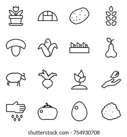 thin line icon set : flower, greenhouse, potato, spikelets, mushroom, corn, seedling, pear, sheep, beet, sprouting, hand leaf, sow, tomato, egg, pile of garbage