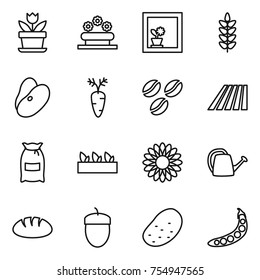 thin line icon set : flower, bed, in window, spikelets, beans, carrot, coffee seeds, field, flour, seedling, watering can, bread, acorn, potato, peas