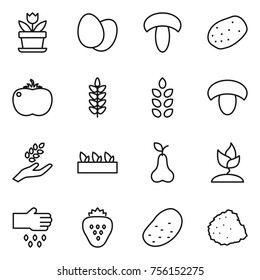 Thin line icon set : flower, eggs, mushroom, potato, tomato, spikelets, harvest, seedling, pear, sprouting, sow, strawberry, pile of garbage