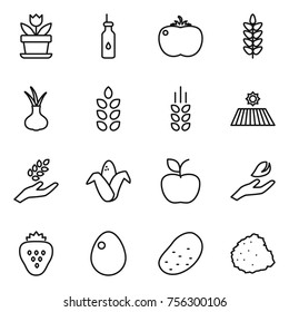 Thin line icon set : flower, vegetable oil, tomato, spikelets, onion, field, harvest, corn, apple, hand leaf, strawberry, egg, potato, pile of garbage