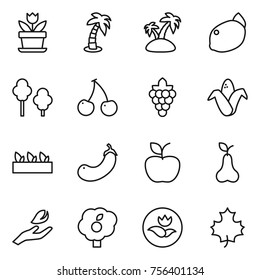 Thin line icon set : flower, palm, island, lemon, trees, cherry, grape, corn, seedling, eggplant, apple, pear, hand leaf, garden, ecology, maple