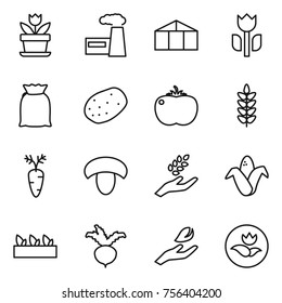 Thin line icon set : flower, factory, greenhouse, perishable, flour, potato, tomato, spikelets, carrot, mushroom, harvest, corn, seedling, beet, hand leaf, ecology