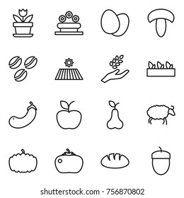 Thin line icon set : flower, bed, eggs, mushroom, coffee seeds, field, harvest, seedling, eggplant, apple, pear, sheep, pumpkin, tomato, bread, acorn