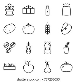 Thin line icon set : flower, greenhouse, vegetable oil, flour, potato, tomato, spikelets, beans, coffee seeds, seedling, apple, pear