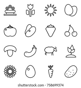Thin line icon set : flower bed, perishable, gas oven, eggs, tomato, beans, berry, cherry, mushroom, eggplant, sheep, sprouting, egg, carrot, potato