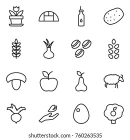 Thin line icon set : flower, greenhouse, vegetable oil, potato, spikelets, onion, coffee seeds, mushroom, apple, pear, sheep, beet, hand leaf, egg, garden
