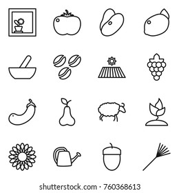 Thin line icon set : flower in window, tomato, beans, lemon, mortar, coffee seeds, field, grape, eggplant, pear, sheep, sprouting, watering can, acorn, rake