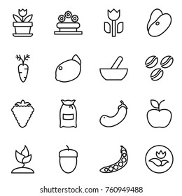 Thin line icon set : flower, bed, perishable, beans, carrot, lemon, mortar, coffee seeds, berry, flour, eggplant, apple, sprouting, acorn, peas, ecology