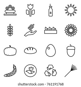 Thin line icon set : flower bed, perishable, vegetable oil, gas oven, spikelets, harvest, seedling, pumpkin, bread, egg, acorn, peas, ecology, recycling, rake
