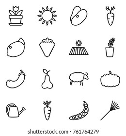 Thin line icon set : flower, gas oven, beans, carrot, lemon, berry, field, seedling, eggplant, pear, sheep, pumpkin, watering can, peas, rake