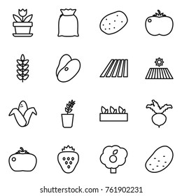 Thin line icon set : flower, flour, potato, tomato, spikelets, beans, field, corn, seedling, beet, strawberry, garden