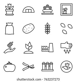 Thin line icon set : flower, hangare, bed, in window, flour, potato, spikelets, seeds, harvest, sprouting, factory, sow, tomato, pruner, grain elevator, ecology