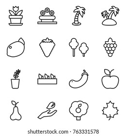 Thin line icon set : flower, bed, palm, island, lemon, berry, trees, grape, seedling, eggplant, apple, pear, hand leaf, garden, maple