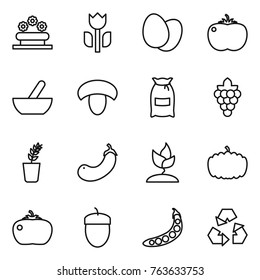 Thin line icon set : flower bed, perishable, eggs, tomato, mortar, mushroom, flour, grape, seedling, eggplant, sprouting, pumpkin, acorn, peas, recycling